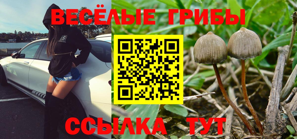Галлюциногенные грибы MAGIC MUSHROOMS Соль-Илецк