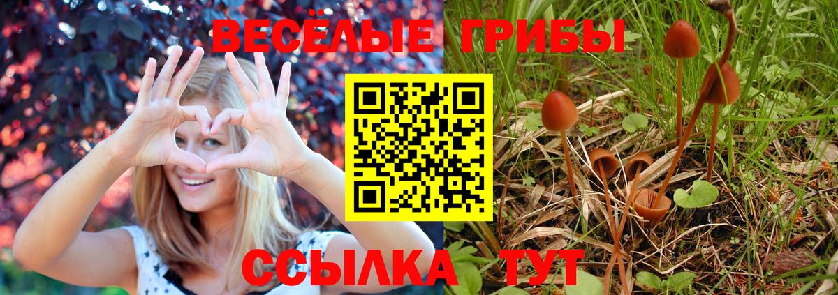Галлюциногенные грибы прущие грибы  Вход с VPN  Соль-Илецк 